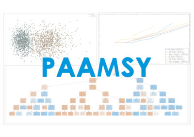 PAAMSY