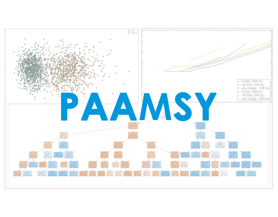 PAAMSY