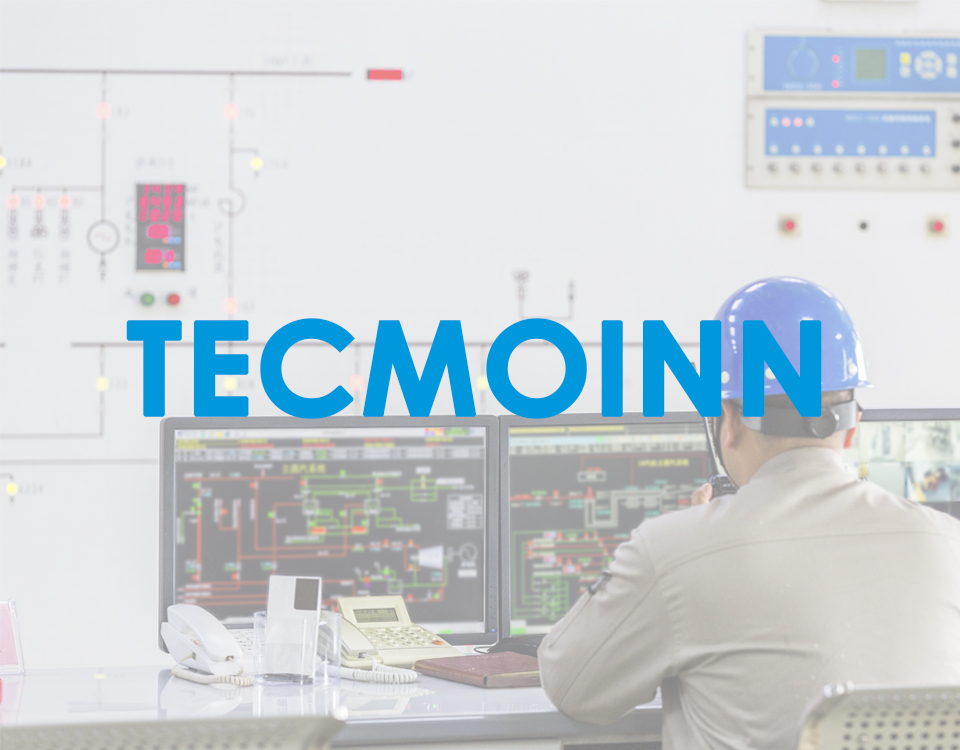 Proyecto TECMOINN