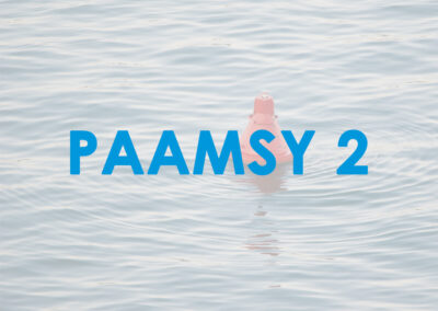 PAAMSY 2