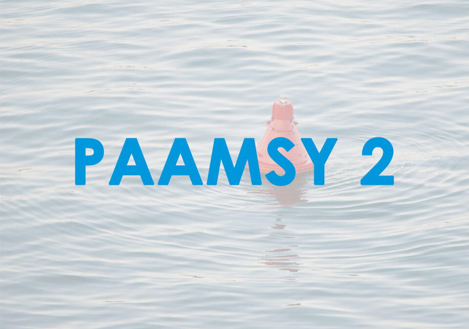 PAAMSY 2