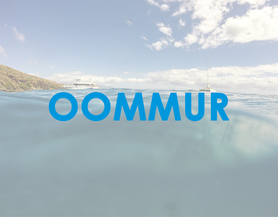 Proyecto OOMMUR Proyecto OOMMUR