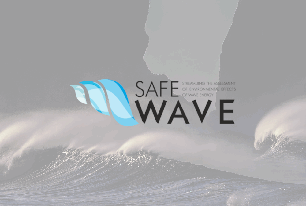 SafeWave