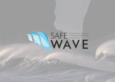 SafeWave