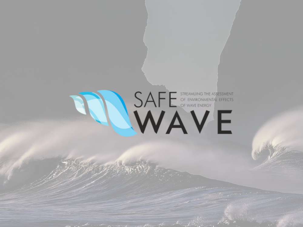 safewave Logo SAFEWAVE