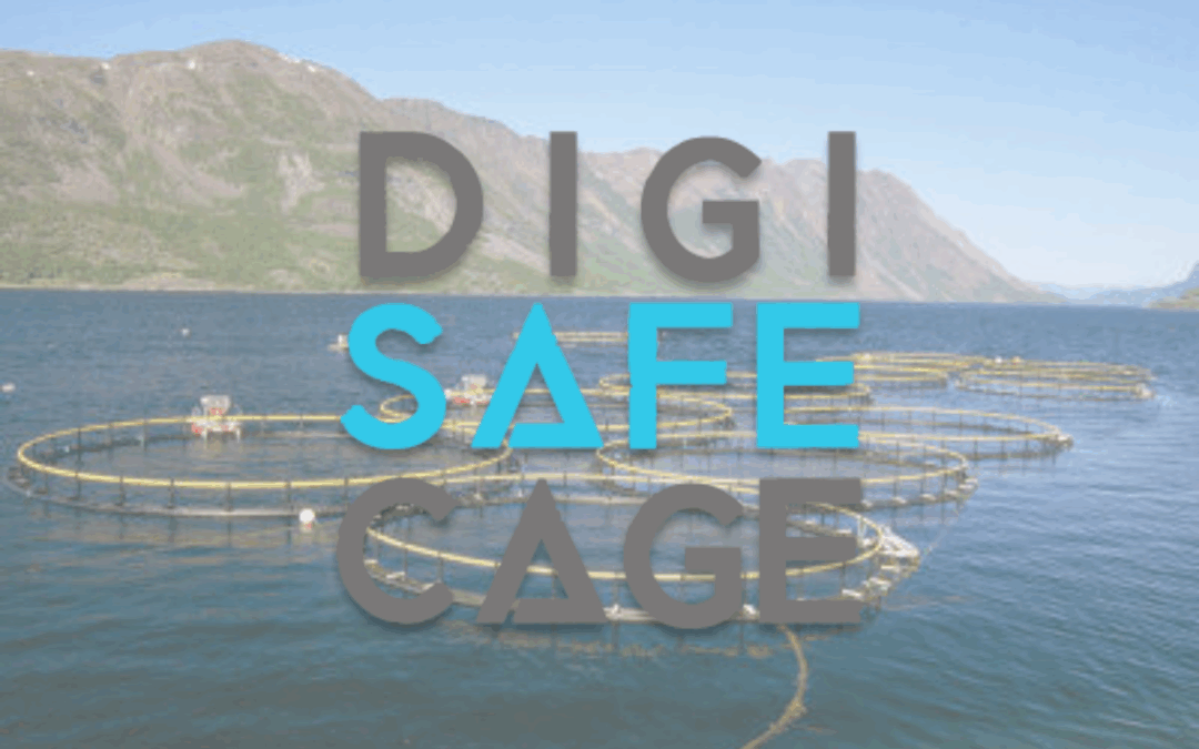 DIGI SAFE CAGE