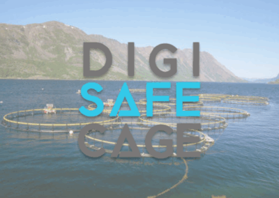 DIGI SAFE CAGE
