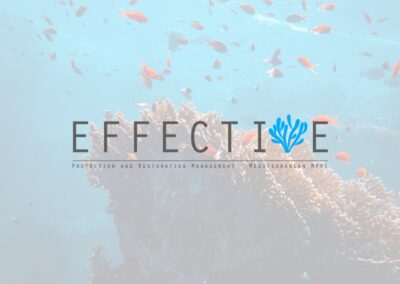 EFFECTIVE
