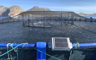 CTN implementa la tecnología para acuicultura SICA-SAVEFEED en el litoral mediterráneo