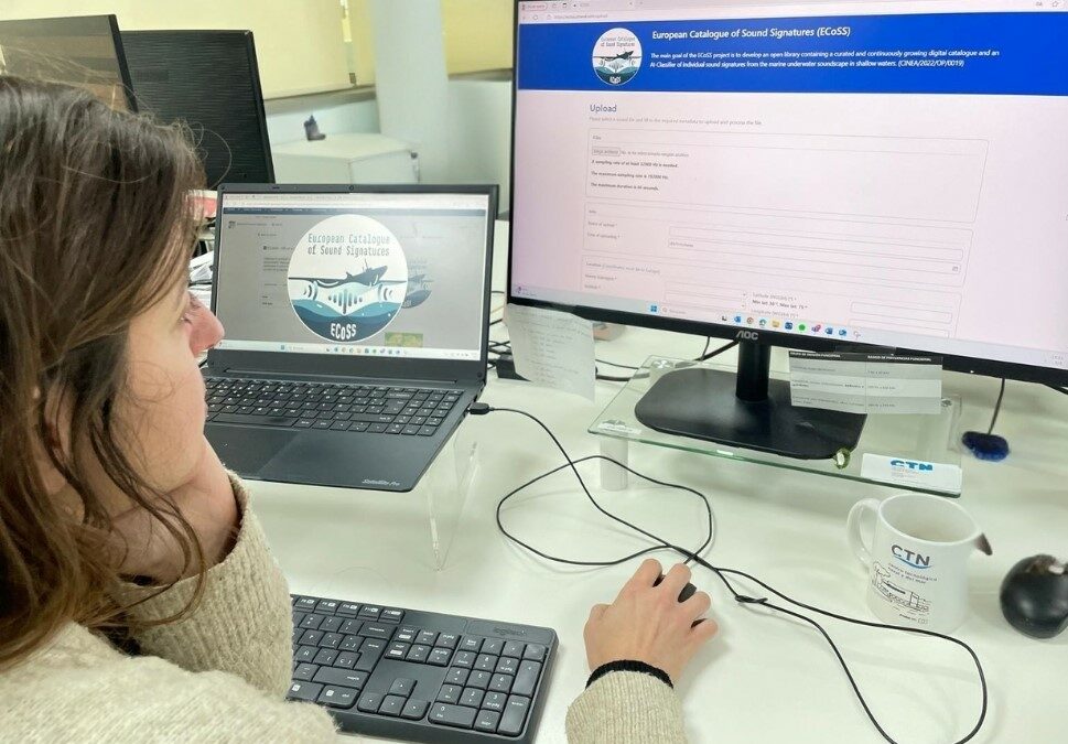 El proyecto ECoSS culmina con un hito en la investigación del ruido submarino y la conservación marina