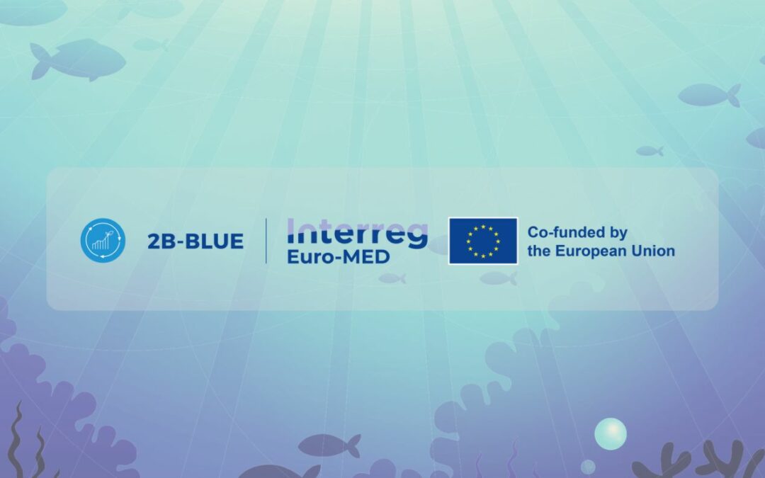 2B-BLUE