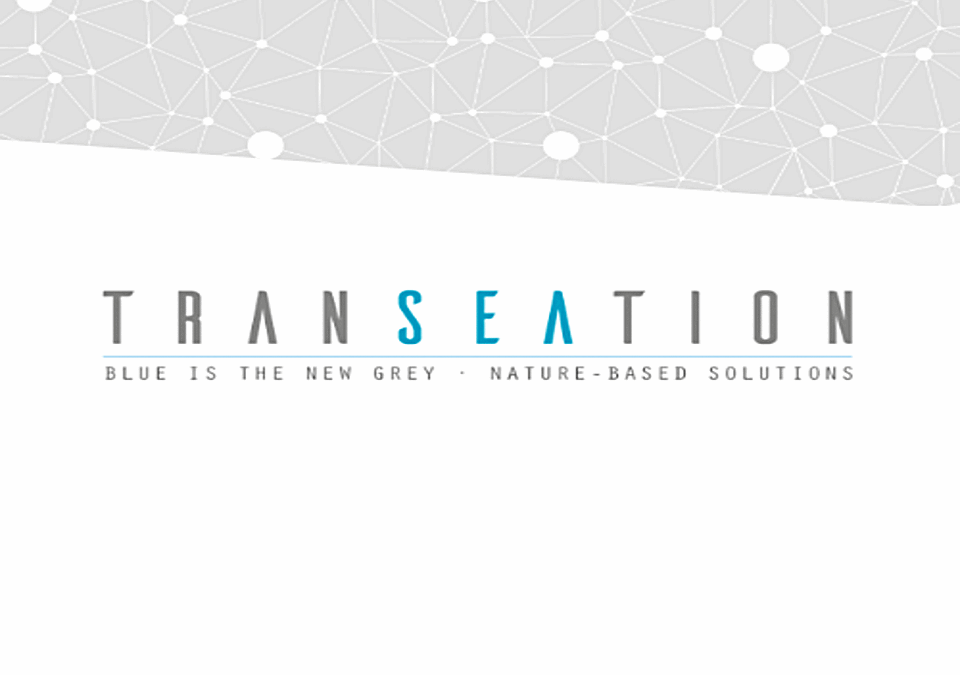 TRANSEATION