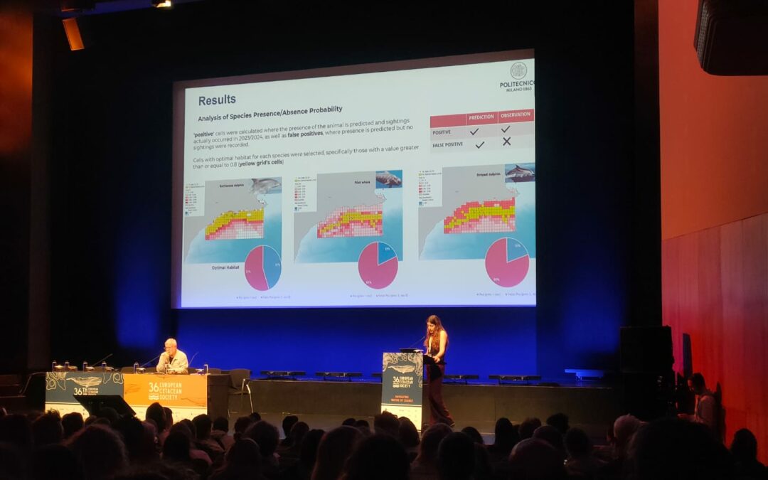 CTN presenta NOISEA en el Congreso de la Sociedad Europea de Cetáceos en las Azores