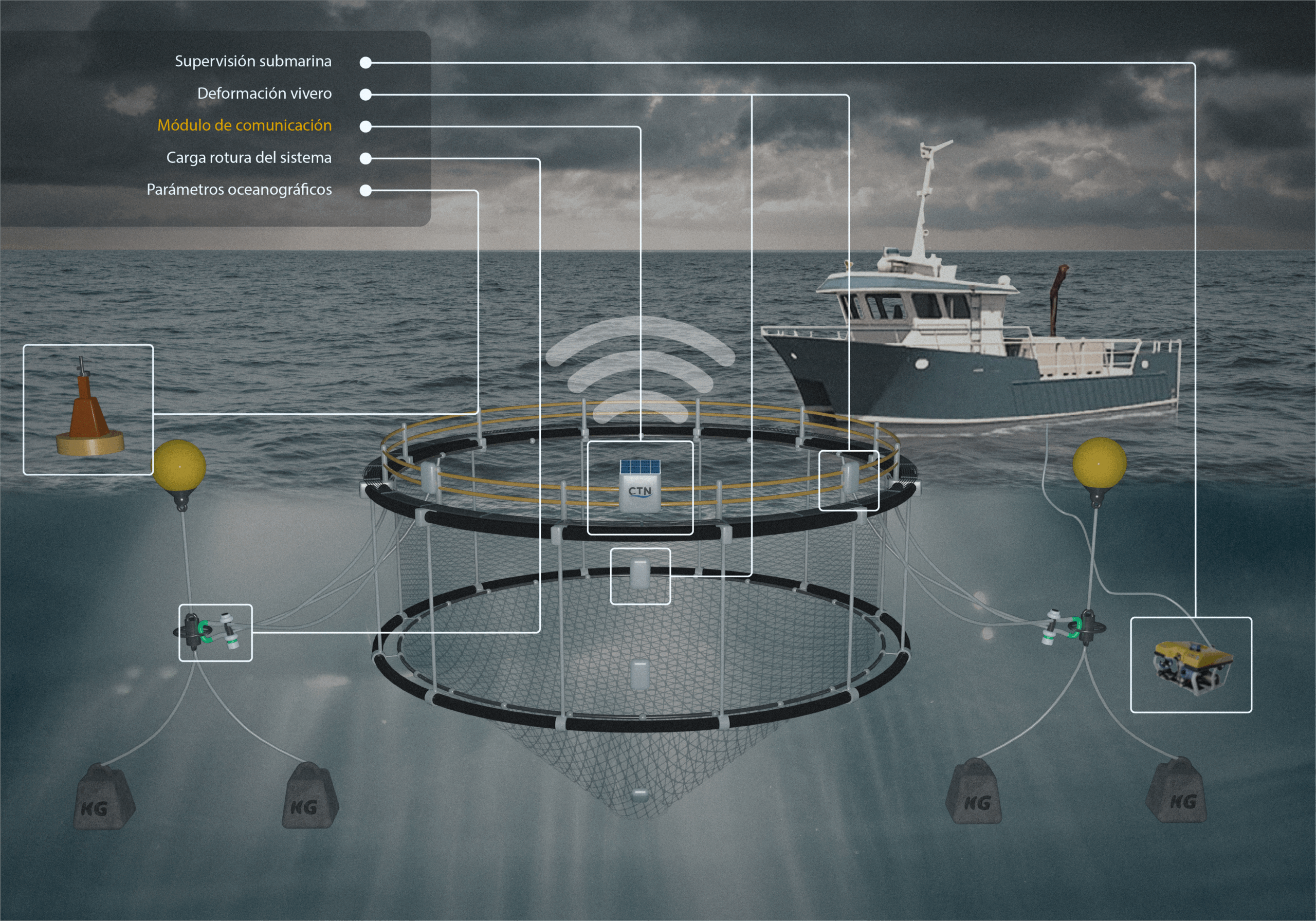 image-1-digi-safe-cage-infografia