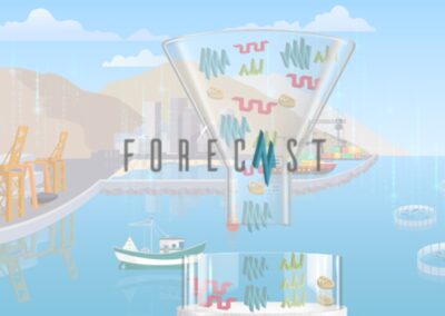 FORECAST