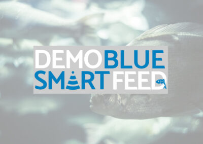 Privado: DEMO-BLUESMARTFEED